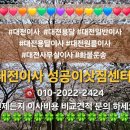 내집처럼이사