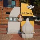 금마늘마을 이미지