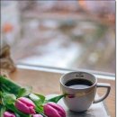 꽃과커피 이미지