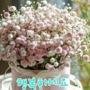 감당심(堪當深) 이미지