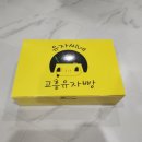 유자씨의하루