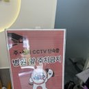 동물병원왓슨