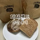 샌드치치 | ［치치샌드］ 부산 동래 치아바타 샌드위치 맛집 추천 후기