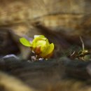 대치1길 이미지