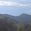 진밭골산림욕장 이미지