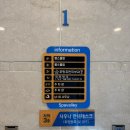 포항휴먼피부과의원 네이버블로그