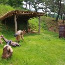 석장리박물관 이미지