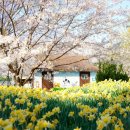 거북이마을 이미지