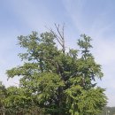 어느날, 하동 이미지