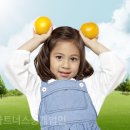(주)세인환경디자인 네이버블로그