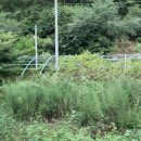 봉양초 덕산분교장 이미지