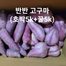 중품(긴상) 꿀 고구마&#34;10kg=35.000=＞31.000 이미지