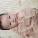 모이몰론
