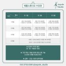 애폴스튜디오 네이버블로그