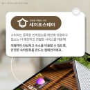 세이프스테이