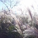 은빛민박 이미지