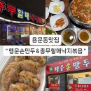 할매산낙지 | 대전낙지전골 용문동맛집 행운손만두 충무할매낙지볶음