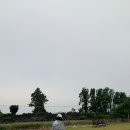 제주집 두모공 이미지