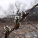 장일공업사 이미지