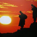 아름다움 이미지