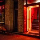 비너스나이트클럽 이미지