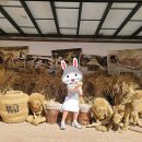 짚풀생활사박물관 이미지