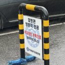 웨딩홀 투어 | 연세대학교 알렌관 야외 웨딩 상담 후기