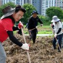 의정부시장 이미지