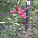 나리빛펜션 이미지