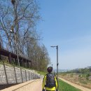 사)한국연극협회산악대 195차 차기산행지 답사로 송파둘레길21km2회 42km 걷기 트레킹-2024년4월14일(일) 이미지