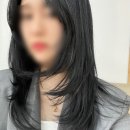 이쁘지애헤어살롱 네이버블로그