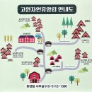 태백소원지 오토캠핑장 | 태백고원 자연휴양림 계곡 야영장 오토캠핑장 데크 우중캠핑 후기, 숲속의집 트리하우스