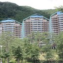 소노펠리체 이미지