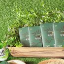 ㈜수종환경 | 황칠미인, 자연이 건네는 하루 면역 루틴의 새로운 기준