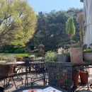 강서아이엠유의원 이미지