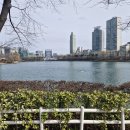 오리 어린이공원 이미지