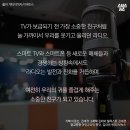고양이라디오 SBS