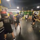 Bee Boxing Gym 이미지