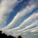 신한아그로 이미지