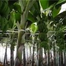 서인환농장 이미지