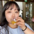 400080 | 세부 막탄 쉐라톤 리조트 조식 포함 상세 후기‼️ 막탄에서 공항가는법까지