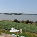 큰마당공인중개사사무소 이미지