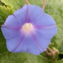 학당1길 이미지