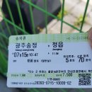 정읍셀프빨래방 - 정읍시 수성5로 27 | 제주코아루디펠리체 이용 후기(일도이동).제주여행!