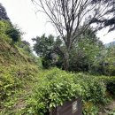 하늘길쉼터민박 이미지