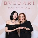 김지원미용실 | 김지원 밀라노 단발 S컬펌, 얼굴형 보정되는 결정적 이유 분석