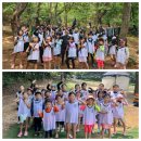 은평 백호 태권도장 이미지