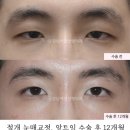 강남서연성형외과의원 이미지