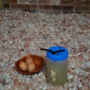 EXR 스포츠센타 이미지