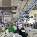 엑스포로터리 | [여수여행] 여수시티투어버스를 이용한 낭만 여수 여행 1일차 !